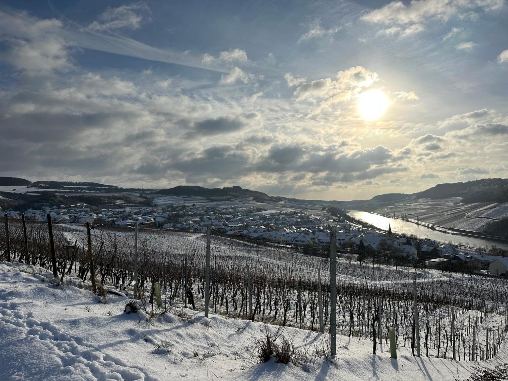 Gaestehaus Und Weingut Bernd Frieden Ниттель Экстерьер фото