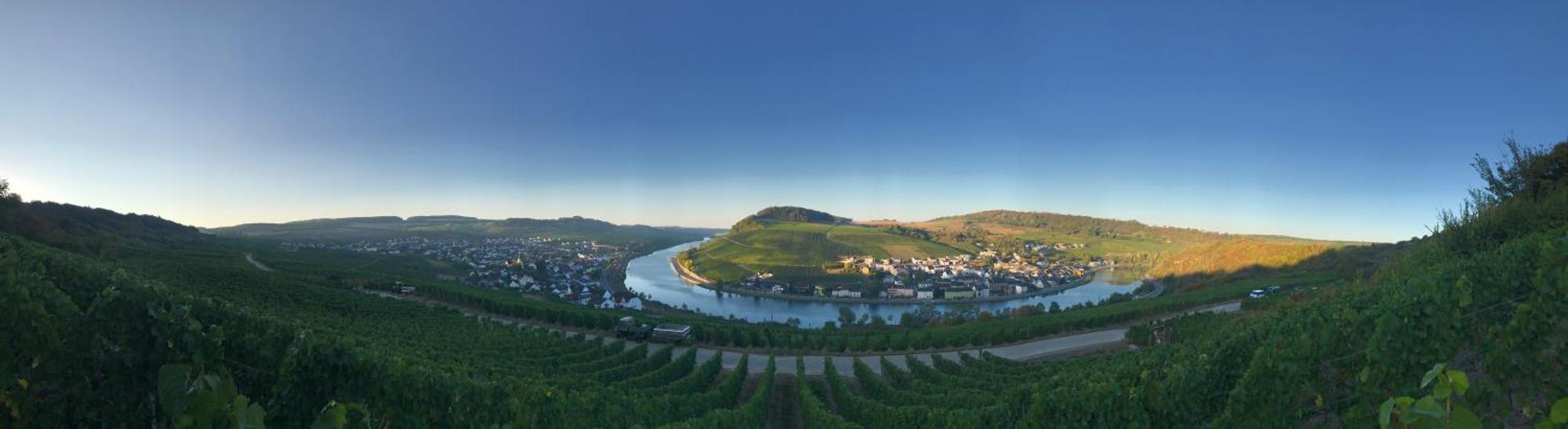 Gaestehaus Und Weingut Bernd Frieden Ниттель Экстерьер фото