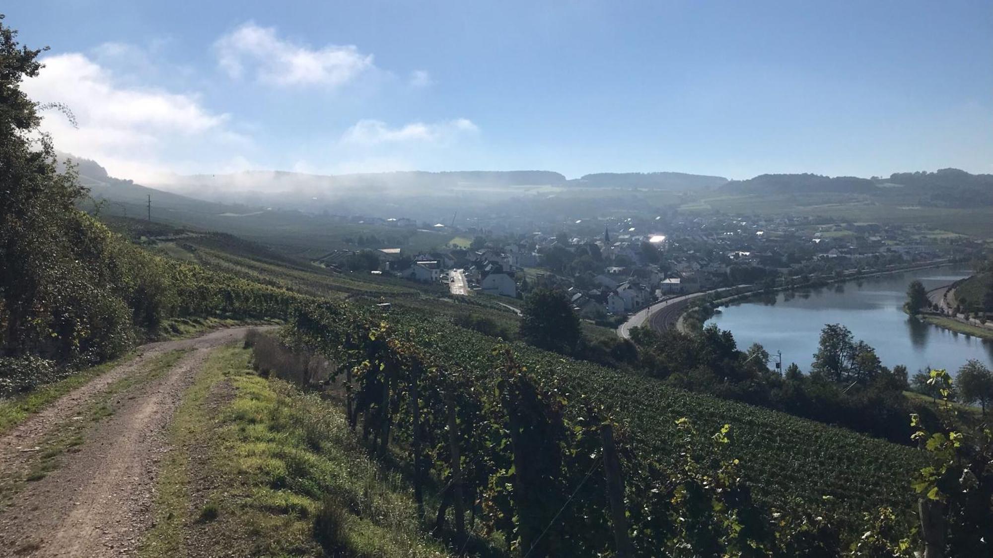Gaestehaus Und Weingut Bernd Frieden Ниттель Экстерьер фото